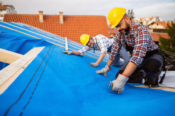Best Roofing for New Construction  in Throop, PA