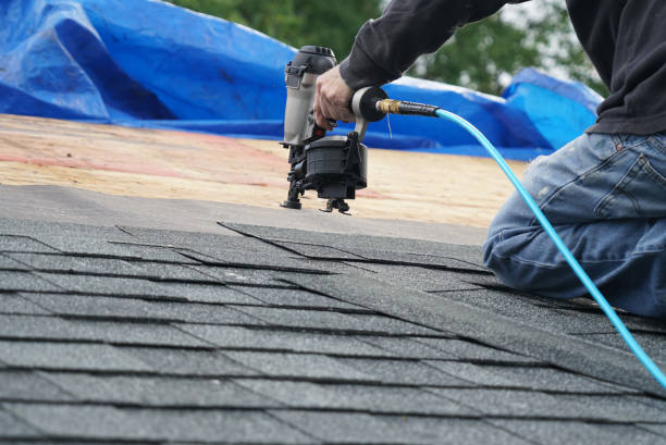 Best Chimney Flashing Repair  in Throop, PA